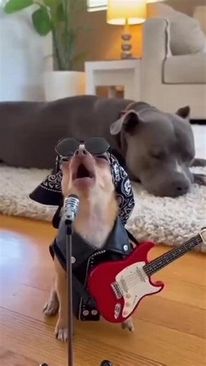 lin lin 2 (@lin.lin.2)’s videos with original sound - lin lin 2