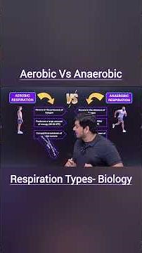 Aerobic vs Anaerobic Respiration | 5 Key Differences | Class 10 & NEET Biology