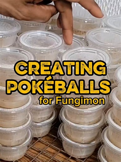 Pouring Sterile Media & Inoculating Grain ▶️ https://youtu.be/kYLoowT7qk4? Subscribe to us on YouTube for In-Depth Tutorials and more! We made 74 Pokéballs in this video and will be using them in future projects! 🙌 #fungi #plants #biology #science #tissueculture 🎶 Pheeniks