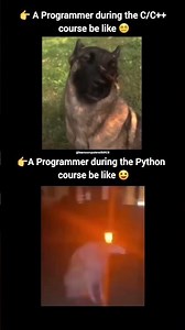 Power of Python Programming 💻 #shorts #funny ‪@LearnComputerWithRCS‬