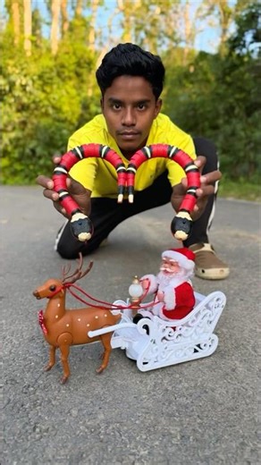 Rc 2 Ta Snake And Remote Control Santa Claus Sleigh Reindeer Gift 🎁