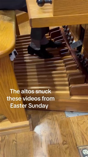Captivating Organ Performance Captured by Altos
