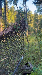 2.9K views · 20 reactions | Set the decoy up for elk hunting #elkhunting #elkhunt #elkhunter Murphy’s Mountain Homestead | Nature Daddy | Facebook