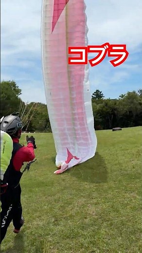 [コブラ立上げ🪂] 弱風😮 26/06/13 高岡エリア #パラグライダー #高知県