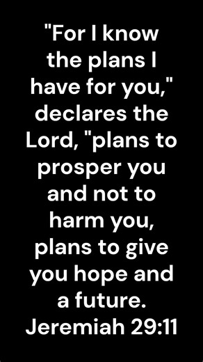 For I know the plans I have for you, plans to prosper you #bibleverse #hope #prosper #plans