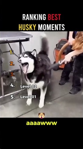 DO NOT CHECK THE SOUND😭😭