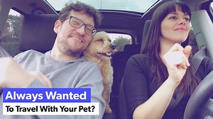 Verify your pet as an Emotional Support Animal. 𝐓𝐚𝐤𝐞 𝐭𝐡𝐞 𝐬𝐢𝐦𝐩𝐥𝐞 𝐄𝐒𝐀 𝐪𝐮𝐢𝐳 𝐧𝐨𝐰! | Support Pets