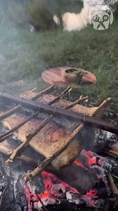 Hooked and cooked 🎣 | Genius Panda