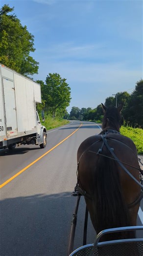 Clydesdale gelding Mac was having his first day on the carriage on this run. We were on our way to town and had this traffic go by. He has seen some smaller traffic, but this was one of the bigger vehicles that he had come across. They do get more relaxed and more confident each day that they are out. This is proving true with Mac as he paid little attention to the bigger truck. Have a nice weekend everyone, and hopefully the cooler days will last. (📹 Tina Greer) | Randy Bird Equine Education