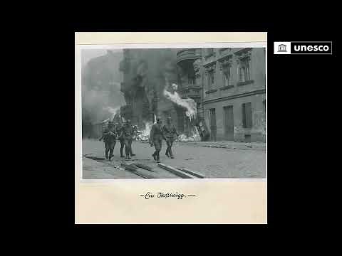 Transmitting the history of genocide: the Stroop report