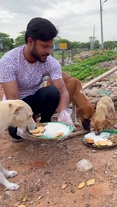 5M views · 628K reactions | "He who feeds a hungry animal feeds his own soul" We Thank and Salute Amazing sponsor “VIJAY AKULA” Garu for Sponsoring Food to Dogs Dear Vijay Garu, God Bless You and Your Family with Happy and Healthy Life. | Serve Needy | Facebook