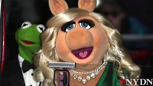 40K views · 589 reactions | Kermit the Frog, Miss Piggy end their...