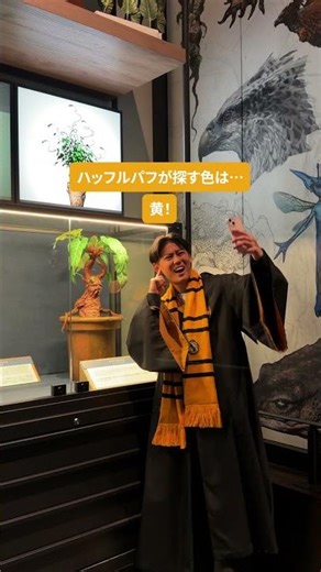 スタジオツアー東京 であなたの寮の色を探せ🔍✨