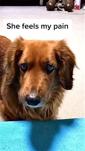 My biggest supporter, I love her so much. ❤️❤️❤️❤️ #mydogismybestfriend #mydogisthebest #mydog