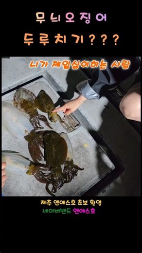 무늬오징어 시메 쉽게 하는 방법 #낚시 #fishing #무늬오징어 #바다 #제주도 #엔에스호