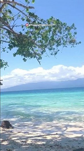 Relax with Real Tropical Beach Ambience 🌴 #beachambience #beach #peacefulwaves