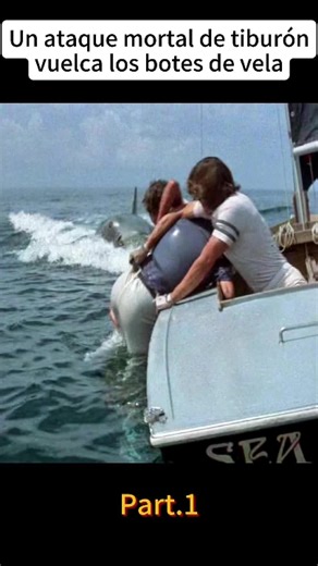 Shark Dragging Plane Into Ocean: A Dramatic Scene