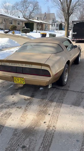 With 138 ACTUAL Miles, this WS6 W72 Trans Am is a real time capsule! Check out the full episode on YouTube now! YouTube.com/DennisCollinsCarWorld #denniscollins #coffeewalk | Dennis Collins