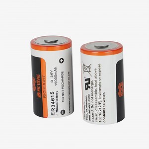 [Hot Item] Reliable 3.6V Er34615 Lithium Battery for Consumer Electronics