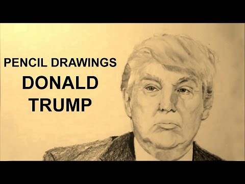 Pencil Drawings: How to Draw realistic Donald Trump