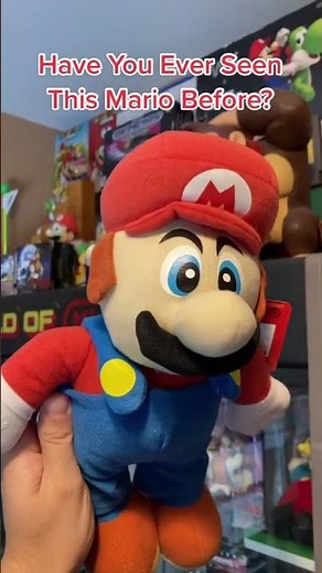 Have You Seen This Rare Mario Plush?