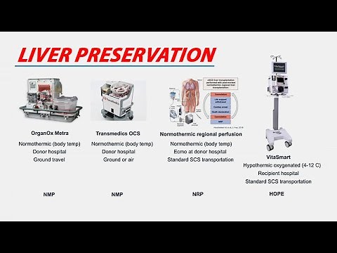 Machine Preservation of the Liver