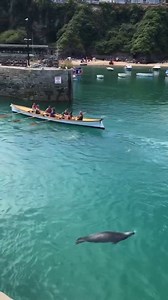 47K views · 2.1K reactions | A day in the life at Newquay Harbour! by Hello Cornwall | Select Cornwall | Facebook