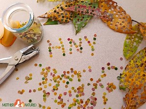 DIY Biodegradable confetti for eco-friendly celebrations - Mother Natured