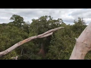 Slocomb Alabama and the nature Trail from the Drone view￼