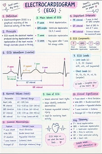 ECG Part 9 🫀 | P Wave, QRS Complex, T Wave & ECG Intervals | Easy Notes 📚 #science #neet
