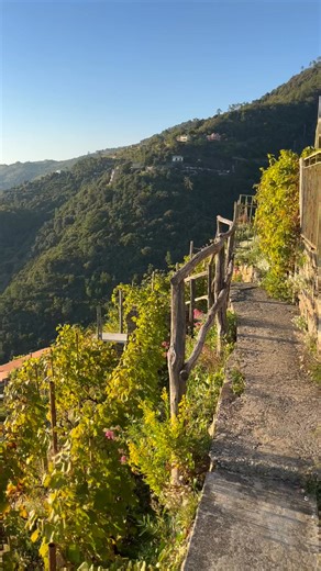 This, too, is Cinque Terre ❤️ | Cinque Terre Insider