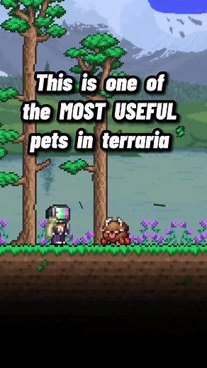 Best Pets in Terraria for Your Gameplay!