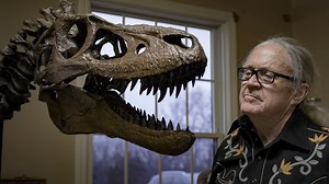 Well-Preserved Embryo Found Inside Fossilized Dinosaur Egg