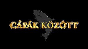 Új taggal bővül a Cápák között csapata