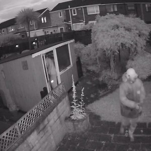 6.9K views · 15 reactions | INBOX "Hi, can you please put a message out to people in the Fuller Crescent area to check their garden sheds, cars and houses as two males were trying doors and going into sheds last night. They tried mine at 3:38 this morning." | Norton Alert | Facebook