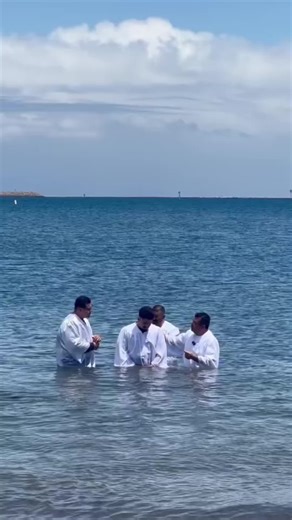 _1993sunflower on TikTok