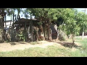 Guamal magdalena 2014