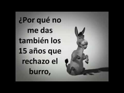 La paradoja de la vida