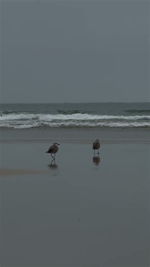 Best friends near the ocean