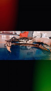 12 reactions | Tri-County Seafood on Reels | Facebook