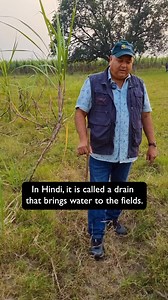 107K views · 2.6K reactions | Traditional drainage systems can waste a significant amount of water, but smarter farming methods help us use it efficiently and prevent unnecessary loss.. [Peepal Baba, Peepal Baba Says, drip irrigation, water management, save water, evaporation, farming, drainage system, flooding, trenches, agriculture, planting a greener future, afforestation, Peepal Baba Foundation] | Peepal Baba | Facebook