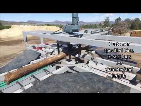 Pinnacle - Log Scanner and Sorter