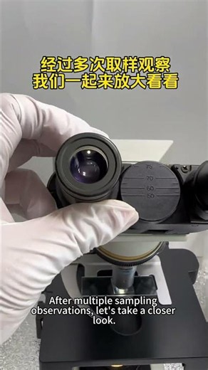 1000X Magnification: Sashimi Revealed