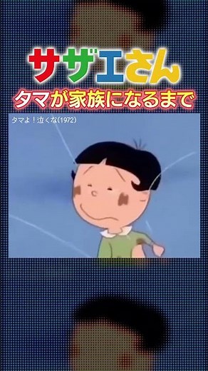 【感動秘話】サザエさんタマが家族になるまで🐈ネコ好きにはたまらないエピソード #shorts