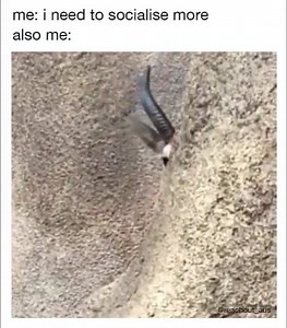 194K views · 1.4K reactions | Pretty much. | The Outnumbered Mother by Amy Hunter | Facebook