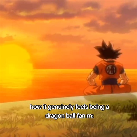 we are so back #dragonball #dbz #db #goku #himthandrake (FAKE EVERYTHING TIKTOK) (ORIGINAL CONTENT TIKTOK) (THIS IS FAIR USE) @Venus ⊹ ࣪ ˖
