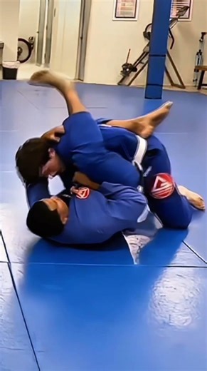 Disrespectful triangle choke on accountant father of three #BJJ #FYP #viral