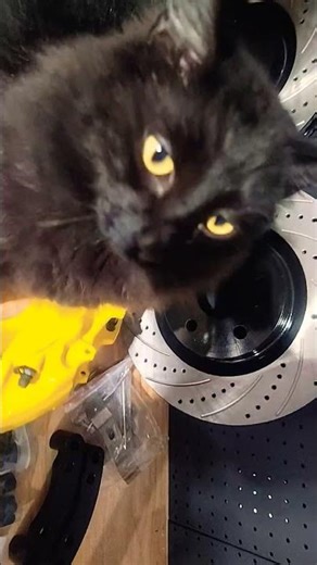 CTS-V conversion time vs 🐈