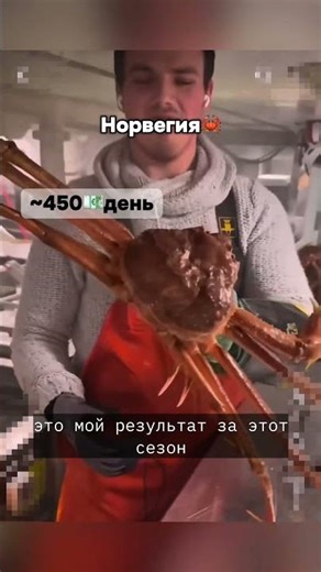 заполняйте форму в профиле🦀 #крабы #работа #многоработ #разрешениенаработу #обучениеперсонала