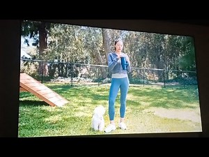 Progressive💵 2025 Commercial - Dog Park